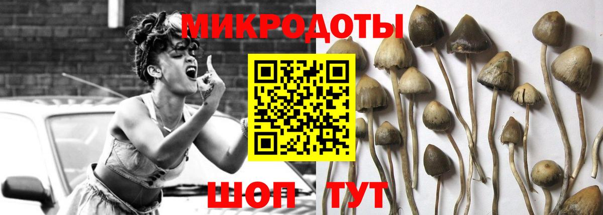 Псилоцибиновые грибы прущие грибы Дедовск