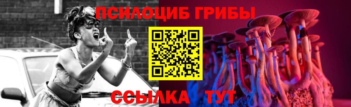 Псилоцибиновые грибы Cubensis  Псилоцибиновые грибы прущие грибы  Дедовск  Вход с VPN 