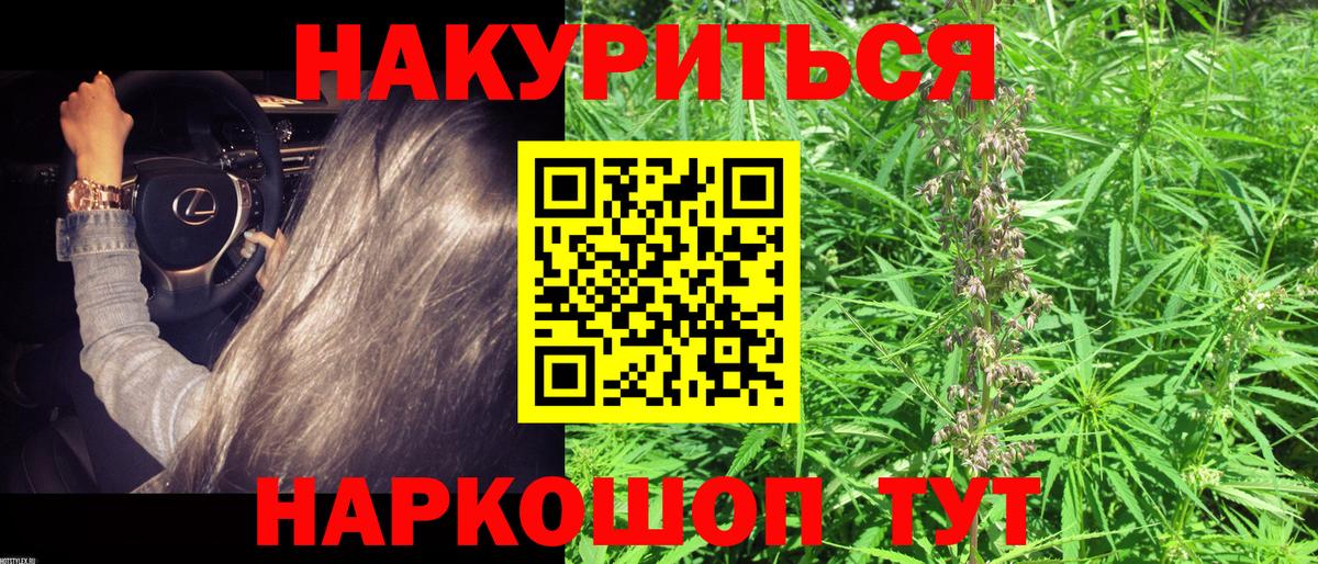 Бошки марихуана план  Вход с VPN  Дедовск  Канабис Bruce Banner  Марихуана индика 